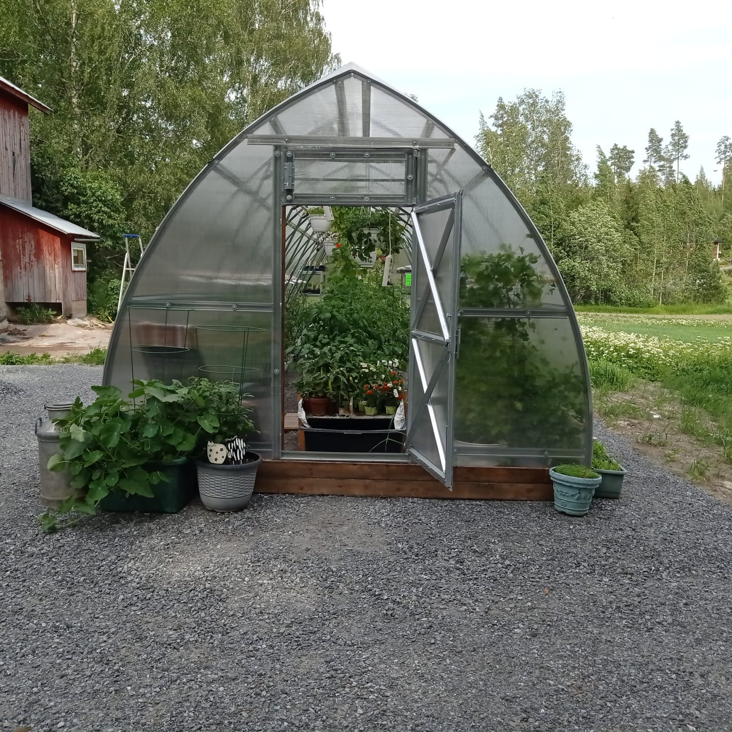 Kasvihuone yhdistyksen pihapiirissä